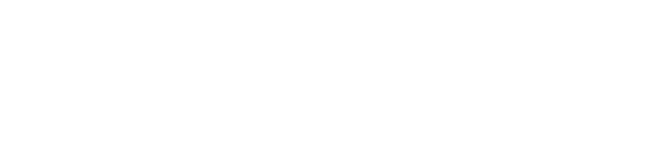 willsoar Logo